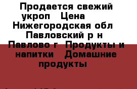 Продается свежий укроп › Цена ­ 30 - Нижегородская обл., Павловский р-н, Павлово г. Продукты и напитки » Домашние продукты   